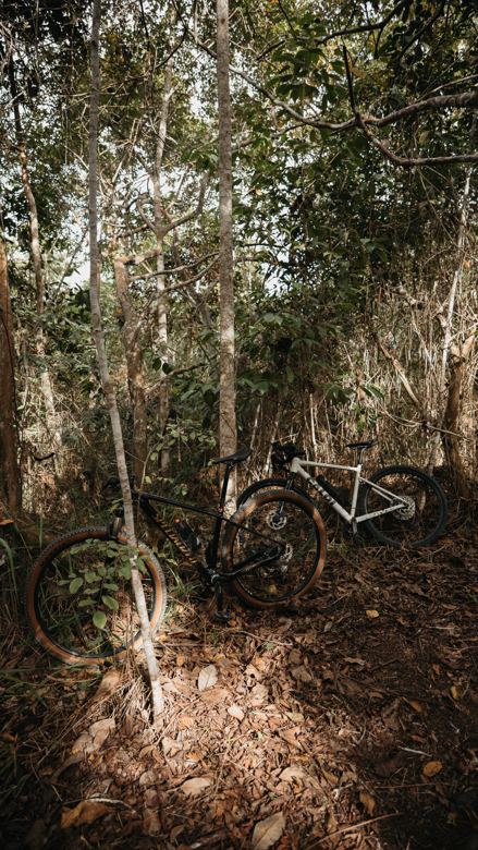 Bikes encostadas na mata