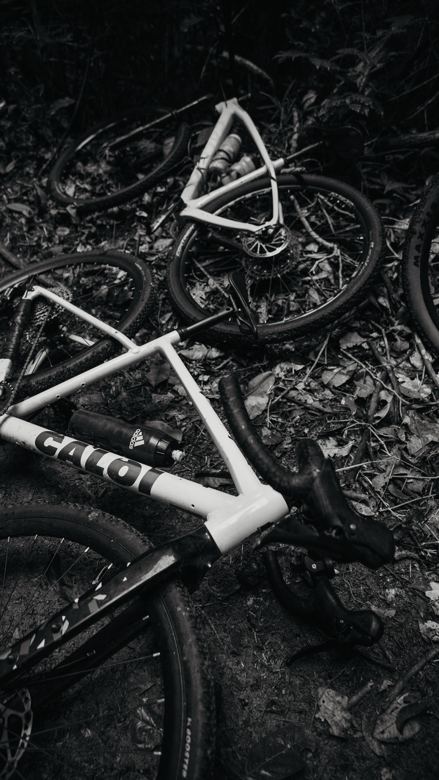 Bikes no chão da floresta